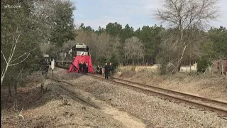 Gaston man hit and killed by train