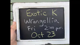 Exotic K - Wrangellia
