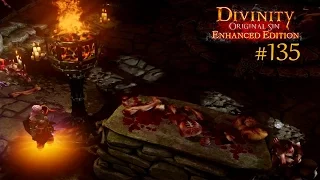 Divinity: Original Sin - Enhanced Edition #135 | Der Tempel des Todes | Let's Enjoy