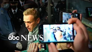 Alexei Navalny detained after landing in Moscow