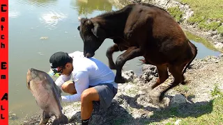 NEVER FISH in a COW POND!