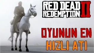 Where to Find a Very Rare White Arabian Horse? (Red Dead Redemption 2)