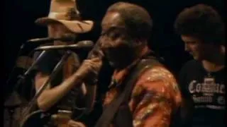 Muddy Waters - Walking Thru the Park - ChicagoFest 1981