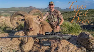 Texas Test Drive - Hunting Aoudad with Hornady's 7mm PRC