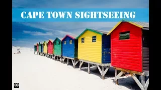 CAPE OF GOOD HOPE, BOULDERS BEACH, PENGUINS :CAPE TOWN THINGS TO DO SIGHTSEEING VLOG