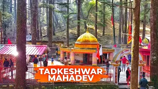 Tadkeshwar Mahadev || Maha Shivratri Celebration || Lansdowne Uttarakhand