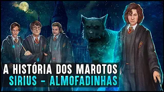 HOGWARTS: UMA HISTÓRIA - MAROTOS (ALMOFADINHAS)