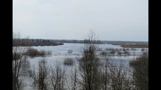 Припять.Разливы. Петриков и окрестности.