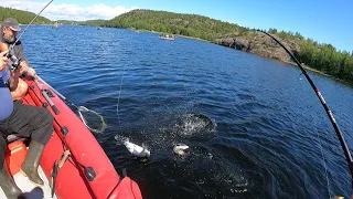 ТАКОЙ КЛЁВ БЫВАЕТ РАЗ В 2 ГОДА / SUCH A BITE HAPPENS ONCE IN 2 YEARS