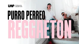 Purro Perreo New Reggaeton Summer Hits (Ryan Castro, Peso Pluma, Bad Bunny, Young Miko) | DJ Omix