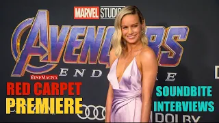 Avengers Endgame World Premiere Interview With All Cast Members