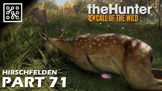 the Hunter: Call of the wild CZ | .243 Ranger na daňka - #71 | Lets play | Česky