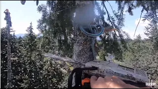 POPS IS RIGGING TREE TOPS, ON A WINDY DAY