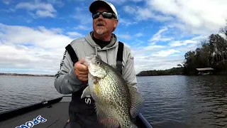 Crappie on Cold Windy Frontal Days. Lake Talquin. Big Crappie Fishing