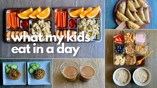 WHAT MY KIDS EAT IN A DAY - DAY 48