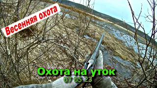 Охота на уток 07 05 23