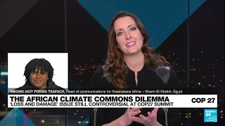 COP27 - Will more climate loans supersize Africa's debt? • FRANCE 24 English