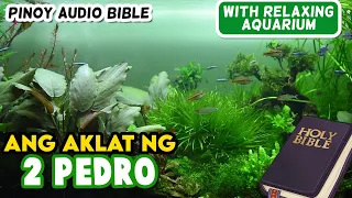 Book of 2nd Peter  - Tagalog Audio bible.