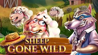 Sheep Gone Wild  slot by Red Tiger Gaming | Gameplay + Random Feature + Free Spins Feature