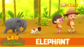 Let's RETURN the ELEPHANT 🐘🐘 to its herd! | Leo the Wildlife Ranger | Mini-Ep | @mediacorpokto