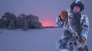 Один в тайге, на огромном озере ХМАО-Югры.