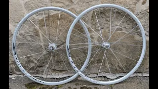 URSUS Countach - Clincher Wheelset. 700C. 10-11s campagnolo. Rim Brake.