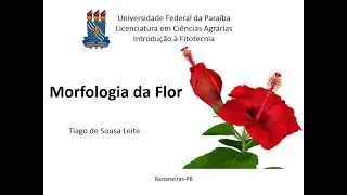 Botânica básica - Morfologia da flor (Organografia)