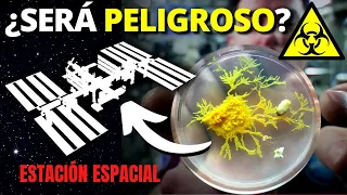 La extraña CRIATURA que hemos llevado a la ESTACIÓN ESPACIAL | Así es “Blob”