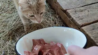 Потанцевали, поели, родили, причесались🙃