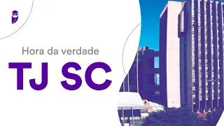Hora da verdade TJ SC - Português - Prof. Adriana Figueiredo