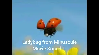 Ladybug from Minuscule Movie Sound 1