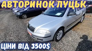 АВТОБАЗАР ЛУЦЬК березень 2023. VW Golf, Volvo V50, Opel Astra, Dacia Logan, Ford Focus ціни до 8000$