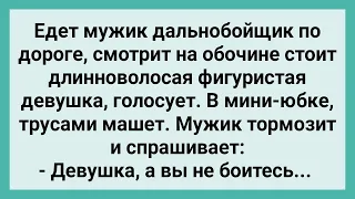 Дальнобойщик Увидел Деваху с Трусами в Руках! Сборник Свежих Смешных Жизненных Анекдотов!