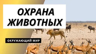 Тема урока: Охрана животных. Окружающий мир 3 класс