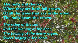 The Holly and the Ivy (Tune: Gardner - 7vv) [with lyrics for congregations]