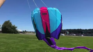 A Picnic With My Wife At Parksville Beach Flying Our Prism Bora 7 Kite