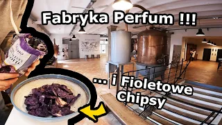 Zwiedzamy Muzeum oraz Fabrykę Perfum !!! - Spacer po miasteczku Grasse. *Jemy Fioletowe chipsy (657)