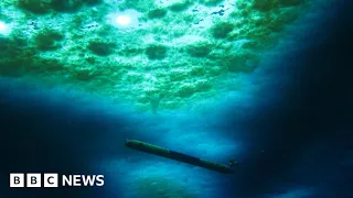 Warming ocean melting weak spots into vast Antarctic glacier - BBC News