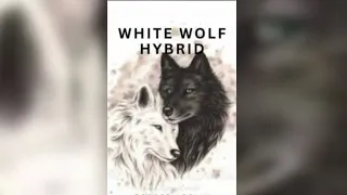White Wolf Hybrid Ch 25 to 32 | Mate Romance | AudioBook Stories