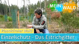 Drahtgitter-Alternative zum Plastik Einzelschutz  - ESTRICHGITTER-  Plastikfreier Wald