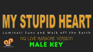 MY STUPID HEART - Luminati Suns and Walk off the Earth  (MALE KEY HQ KARAOKE VERSION)