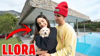 LE REGALO A MI NOVIA EL PERRO DE SUS SUEÑOS!! **se emociona!!**