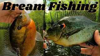 " bream fishing, catching Shell crackers and blue gills  -  tips and tricks "