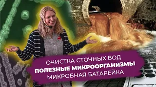 Елена Глушень — Канализационных дел мастера или как микробиология помогает очистить стоки