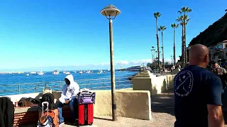 WALKED AROUND TOWN OF AVALON CATALINA ISLAND