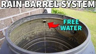 Rain Barrel Test: Is This The Best Way To Harvest Water?