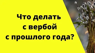 Что делать с вербой, с прошлого года? Приметы и запреты.