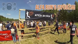 Dienos Treniruotė - Alfa Run'o įspūdžiai