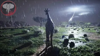 Becoming a Elder Giraffe | Animalia Survival