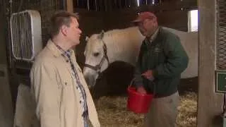 Kentucky Race Horse Farm